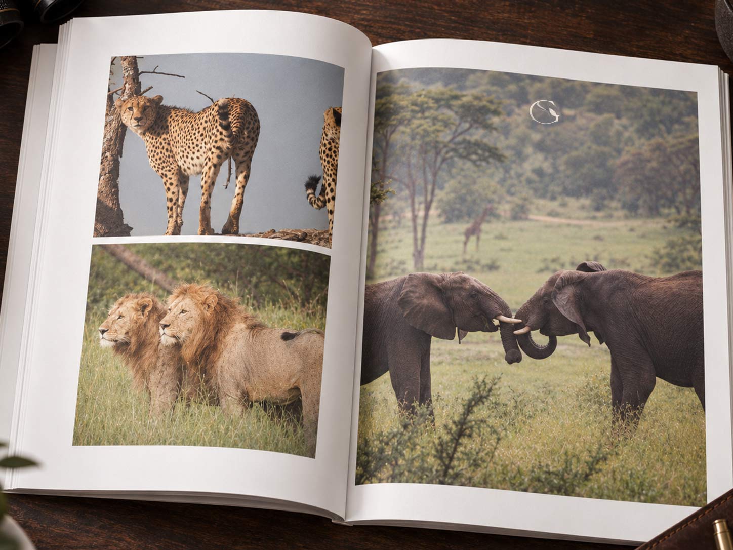 The Guided Safaris® Safari Stories journal, the Kessler family safari